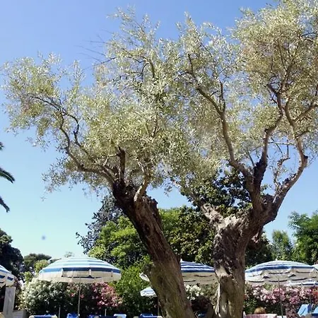 Le Petit Nice 2*